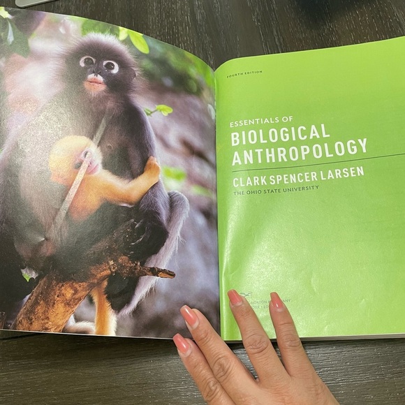 Essentials of Biological Anthropology fourth edition by Clark Spencer book - Picture 3 of 4